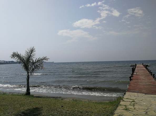 26904761_308526813001504_173978725822620768_n