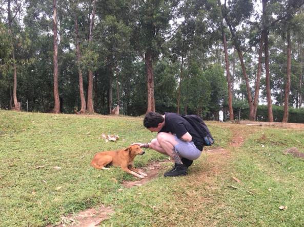 27332357_1889419667753390_3916101182121500616_n